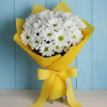 Букет цветов из:  Хризантемы в Посёлке Свободы