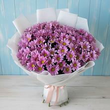 Букет цветов из:  Хризантемы в Посёлке Свободы