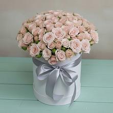 Цветочная композиция из Розы в шляпной коробке в Посёлке Свободы