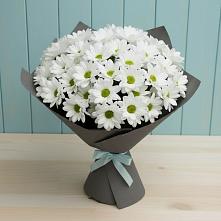 Букет цветов из:  Хризантемы #REPLACE_PRED# Посёлке Свободы