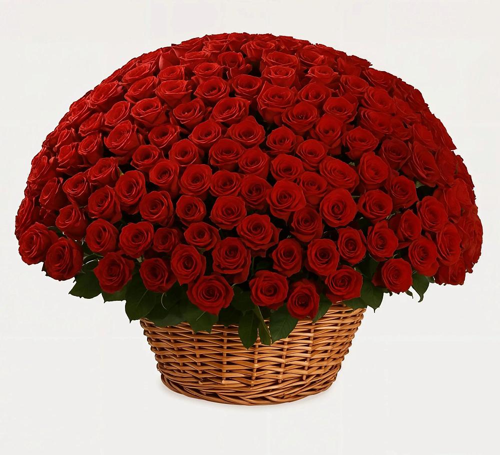 Премиум букет из: Розы в Посёлке Свободы