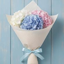 Букет цветов из:  Гортензия в Посёлке Свободы