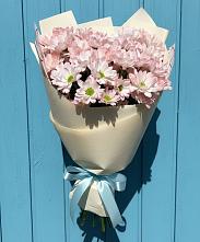 Букет цветов из:  Хризантемы в Посёлке Свободы