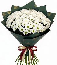 Букет цветов из:  Хризантемы в Посёлке Свободы