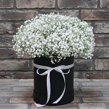Цветочная композиция из Гипсофила в шляпной коробке #REPLACE_PRED# Посёлке Свободы