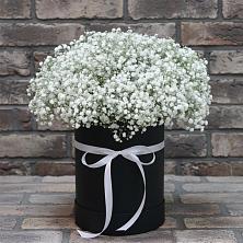 Цветочная композиция из Гипсофила в шляпной коробке в Посёлке Свободы