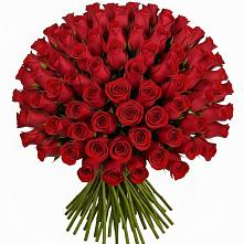 Букет Красные розы Чери Лав в Посёлке Свободы