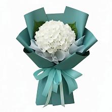 Букет цветов из:  Гортензия в Посёлке Свободы